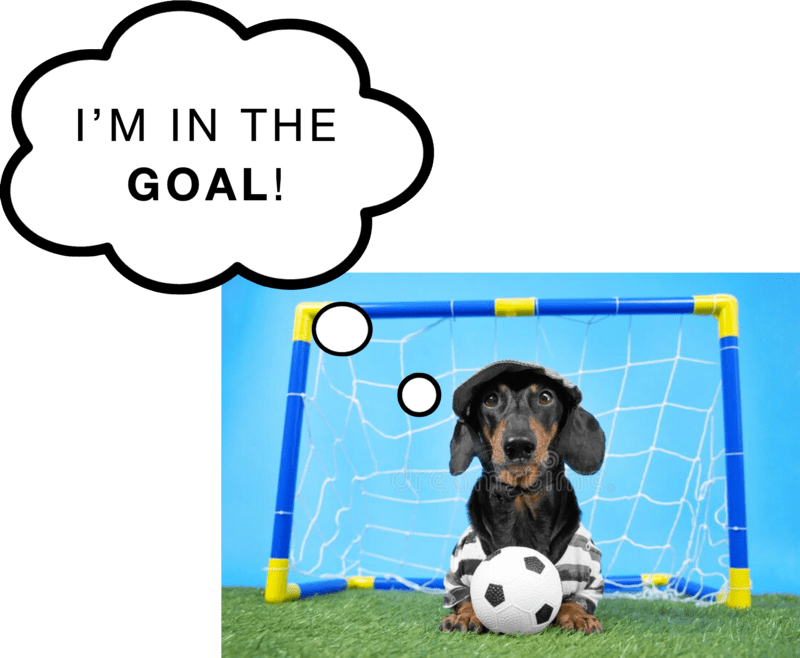 I'm in the goal!