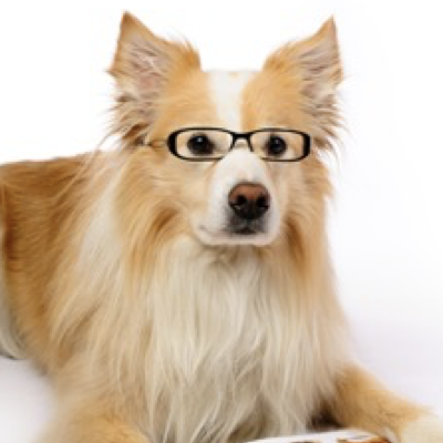 Evidence-Based-Learning-Metacognition-Doggy-2.png